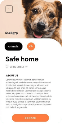 Weboldal készítés, webdesign állatok